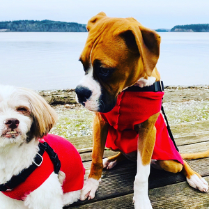 Fundraising Page: Pam Sproul